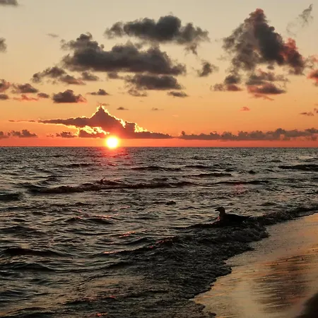 Mierzeja - Turkusowa, Appartement *