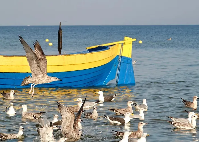 Mierzeja - Turkusowa, Apartamento *